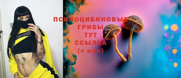 прущая мука Бородино