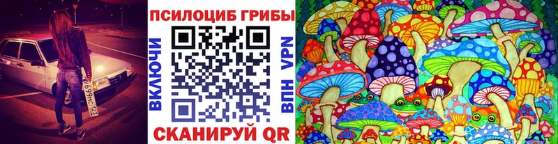Псилоцибиновые грибы Magic Shrooms  Купить где  Малмыж 